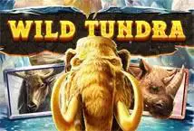 Wild Tundra - Spin City - Congo