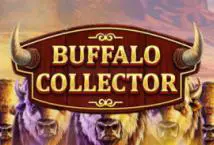 Buffalo Collector - Spin City - Congo