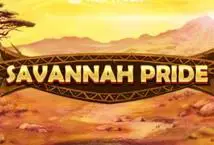 Savannah Pride - Spin City - Congo