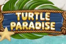 Turtle Paradise - Spin City - Congo