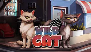 Wild Cat - Spin City - Congo
