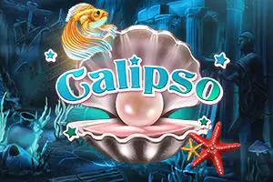 Calipso - Spin City - Congo