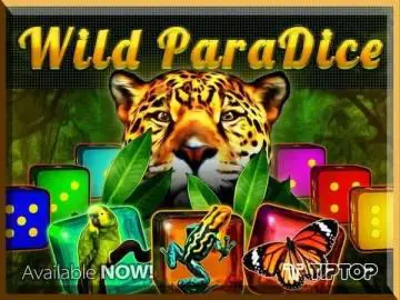 Wild Paradise - Spin City - Congo