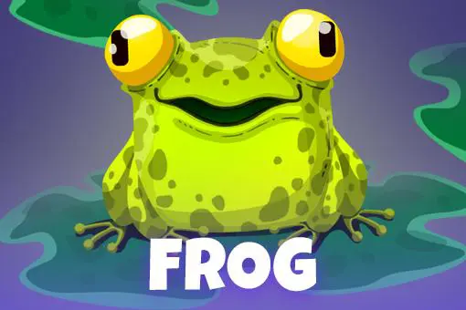 Froggy - Spin City - Congo